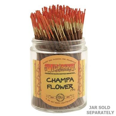 Champa Flower Shorties