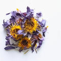 Blue Lotus Flower - Sacred Dried Blue Lotus Petals for Ritual & Wellness NZ
