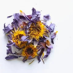 Blue Lotus Flower - Sacred Dried Blue Lotus Petals for Ritual & Wellness NZ